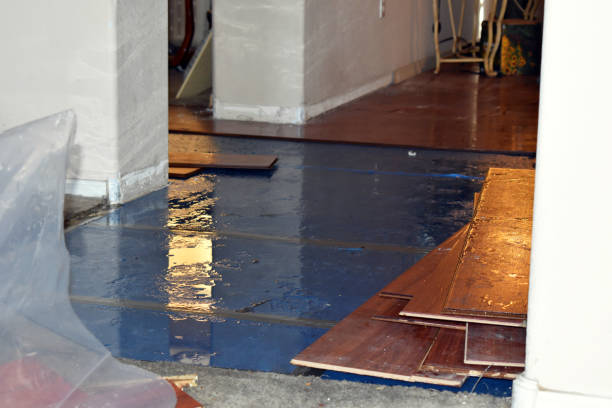 Professional Sewage Cleanup technician working in Perrinton, MI